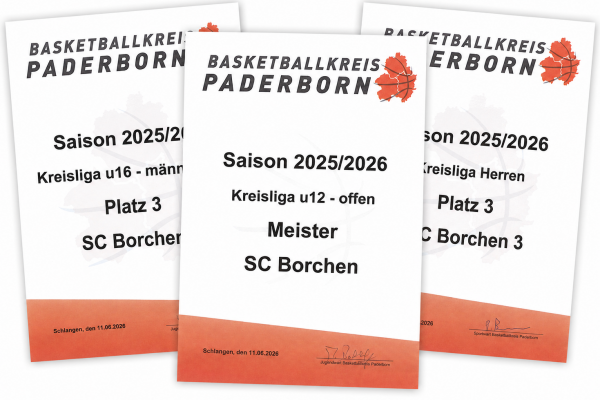 Alle Ehrungen des Basketballkreis Paderborn für den SC Borchen werden in einem Bild dargestellt.